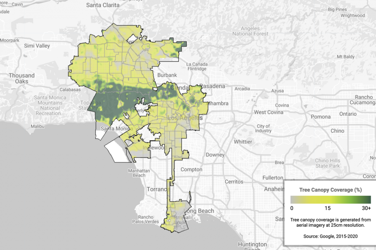 How 5 cities plan to use Tree Canopy to fight climate change