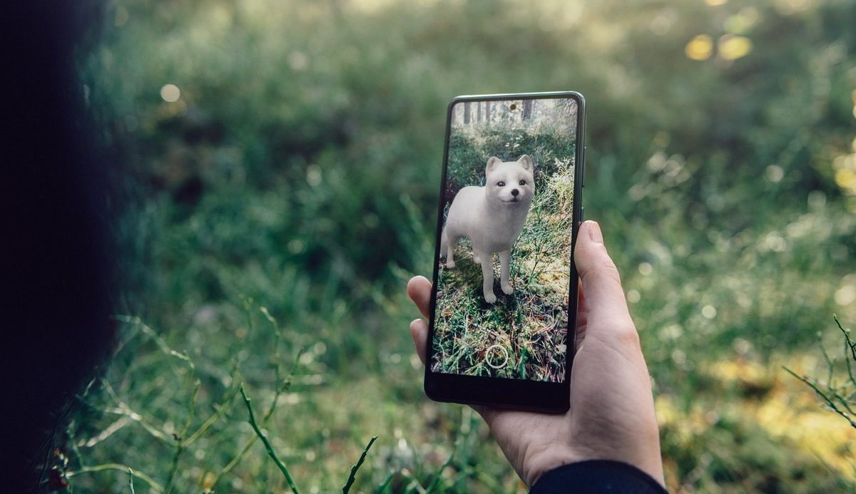 Bringing new life to Swedish endangered animals using AR