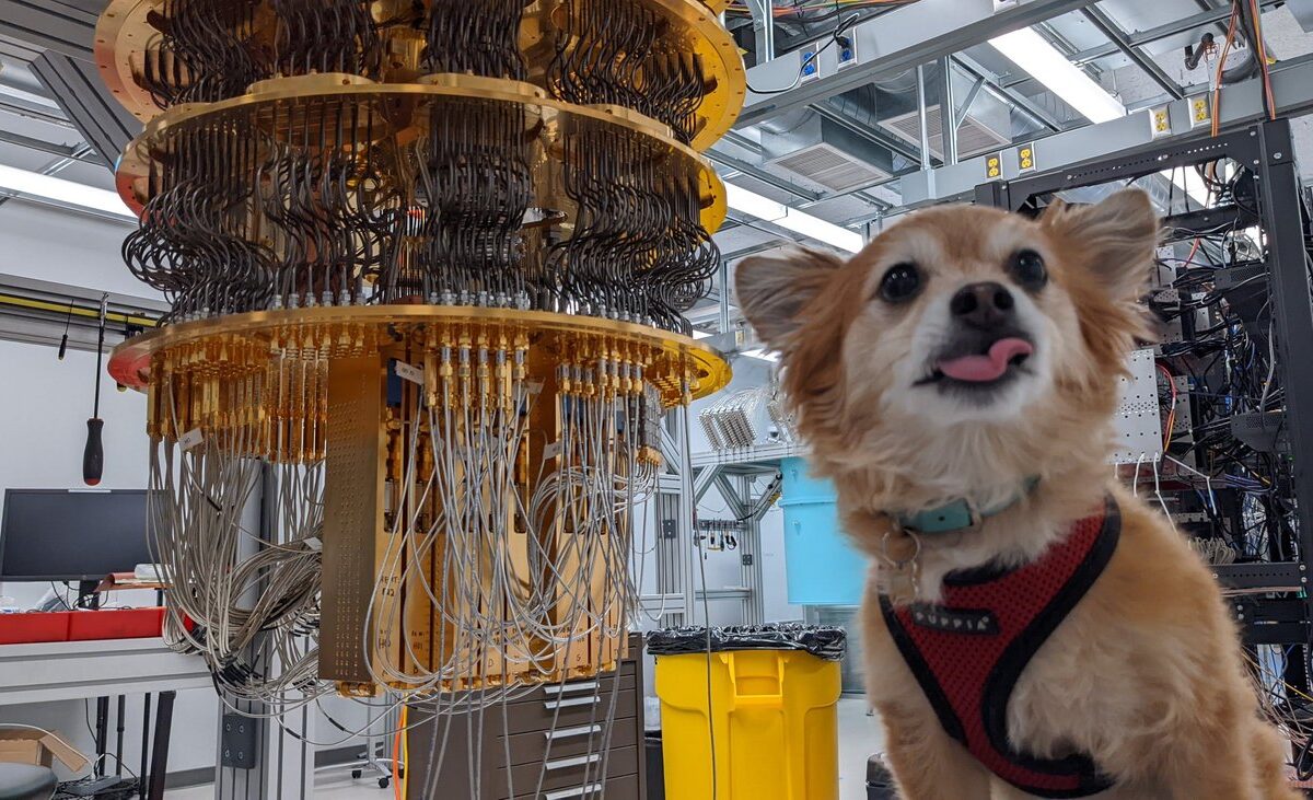 Qubit the dog on the big questions in quantum computing