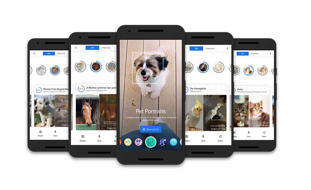 Paws meet machine learning with Pet Portraits