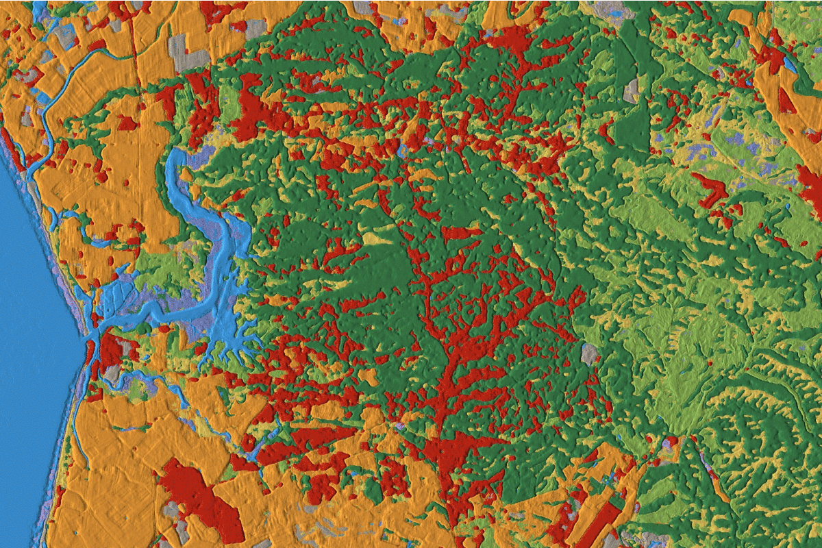 Land cover data just got real-time