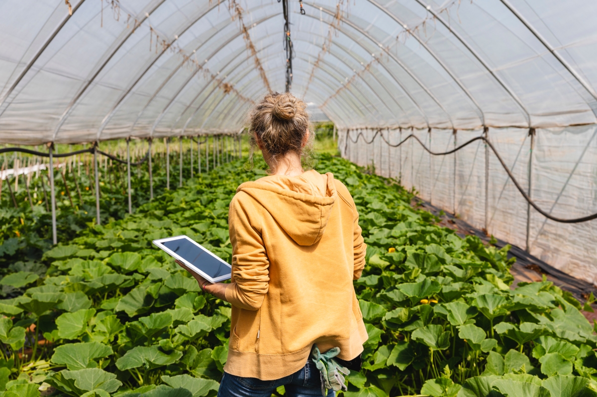 Facebook: Recognizing EU Green Week | Meta