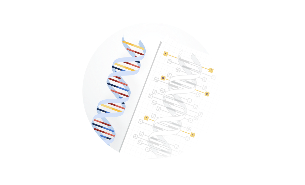 A new genome sequencing tool powered with our technology