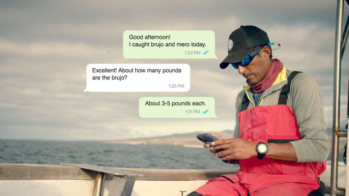 Facebook: How a Fisherman Uses WhatsApp to Grow His Business