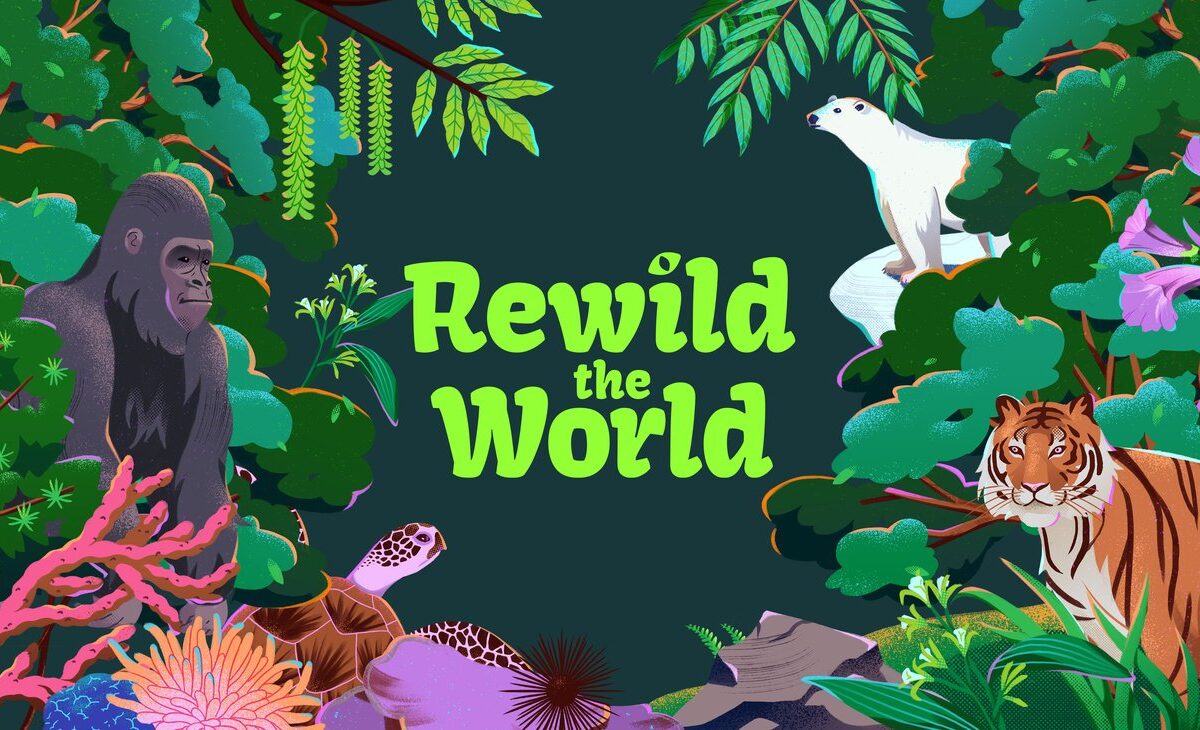 Learn about wildlife conservation with Rewild the World