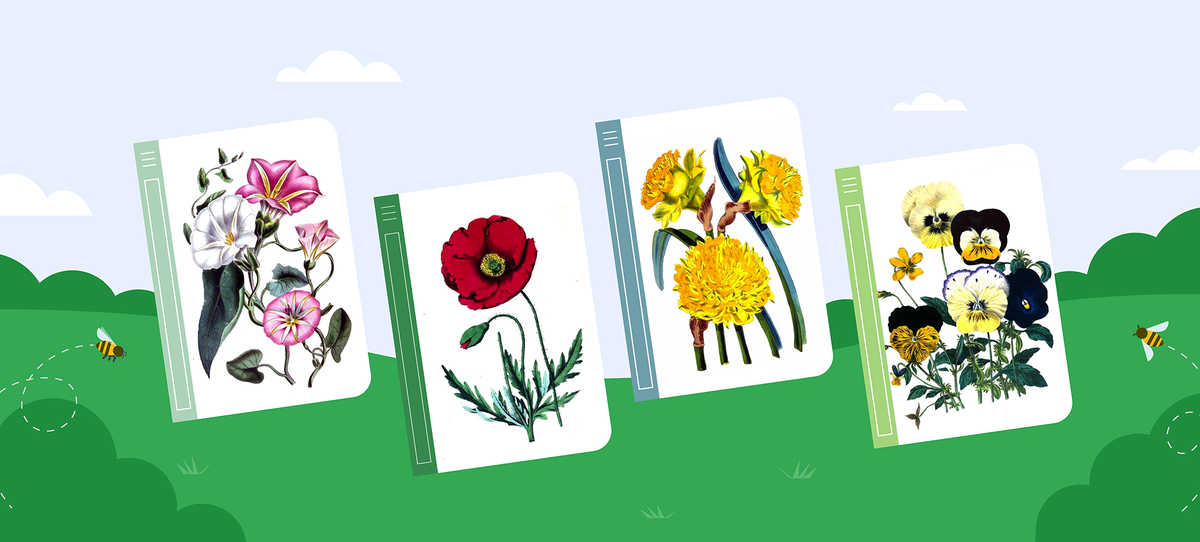 Celebrate spring with floral illustrations on Google Books