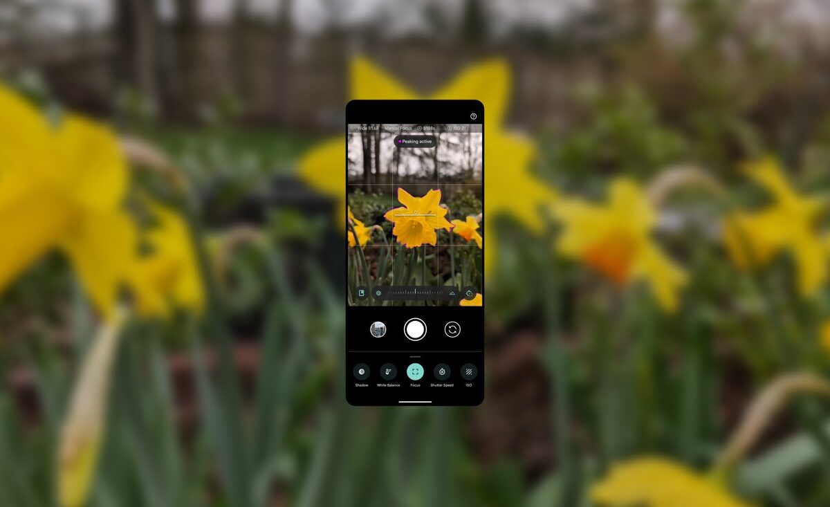 How to get started with Pixel 8 Pro Camera’s Pro Controls