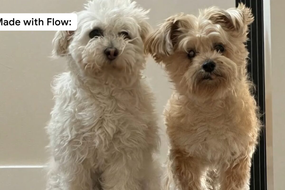 You can now make your images talk with Veo 3 in Flow, plus we’re expanding to more countries.
